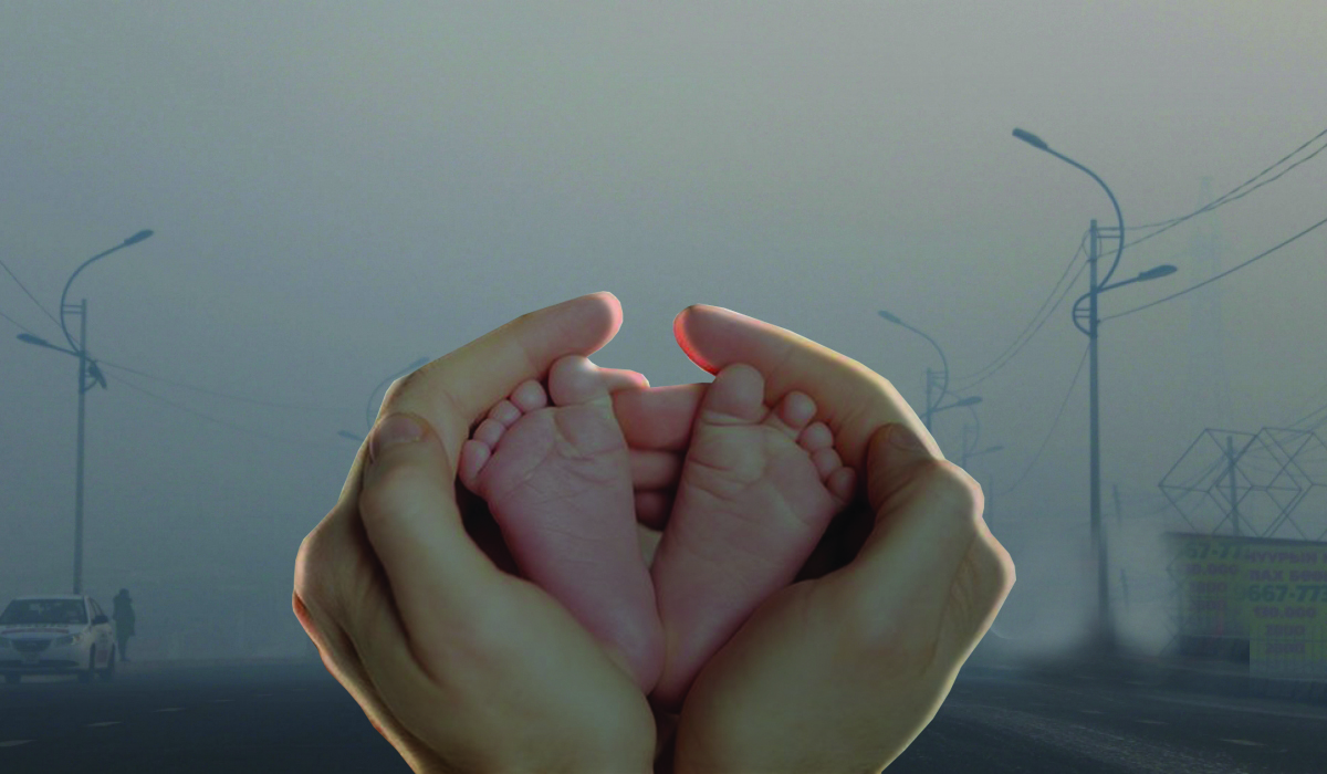 Шахмал түлшийг “хар толгой”-гоороо хариуцсан хүмүүс хэн бэ