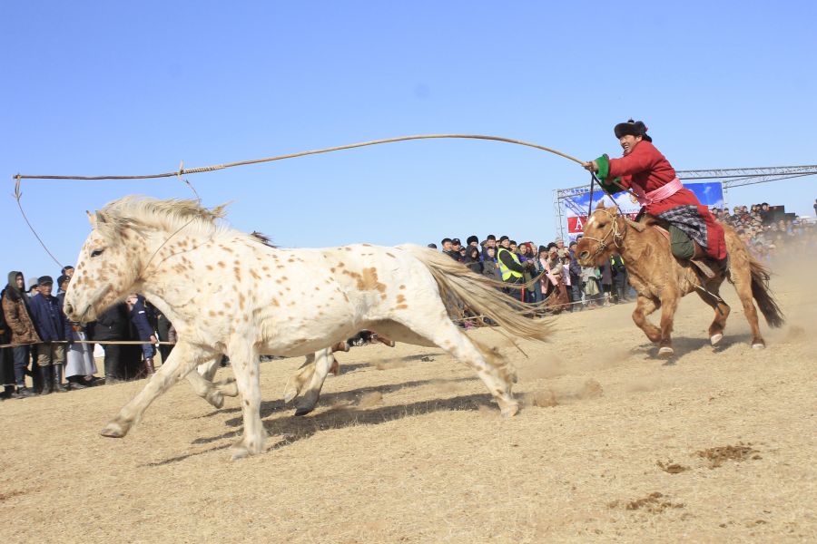 “Талын түмэн адуу 2019”-д оролцохыг уриалав
