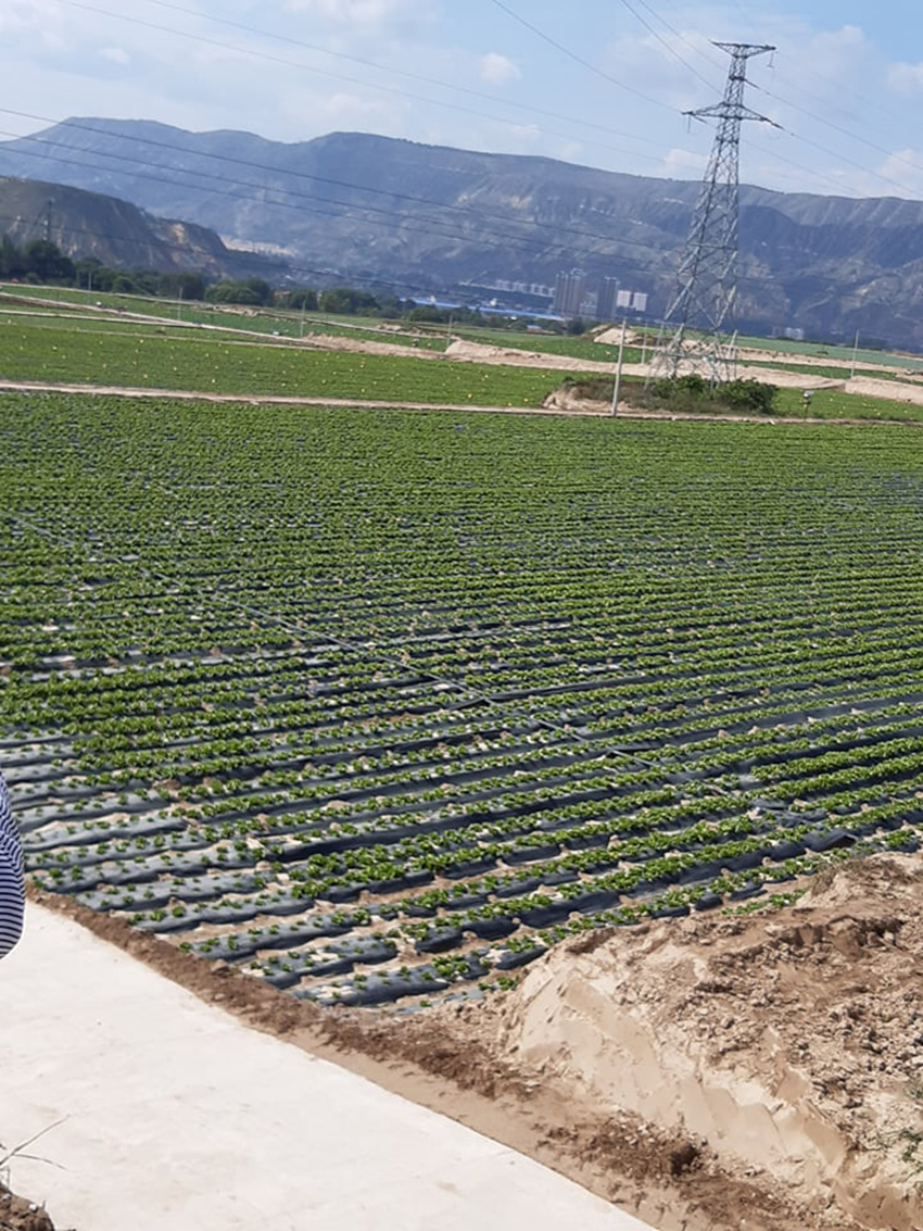 Жуулчдын анхаарлыг татсан хуучин тосгоны шинэчлэл