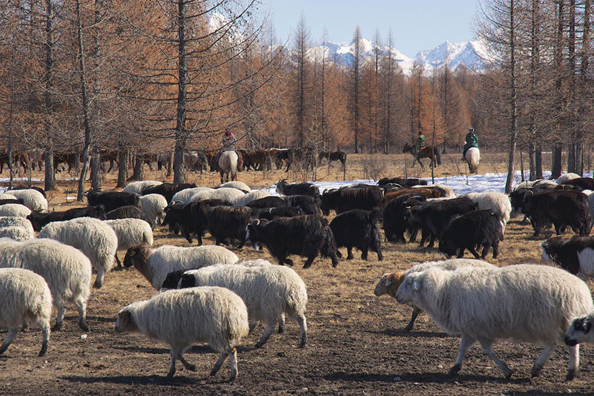 Дэлхийн банк 2020 онд 30 сая долларын зээл олгоно