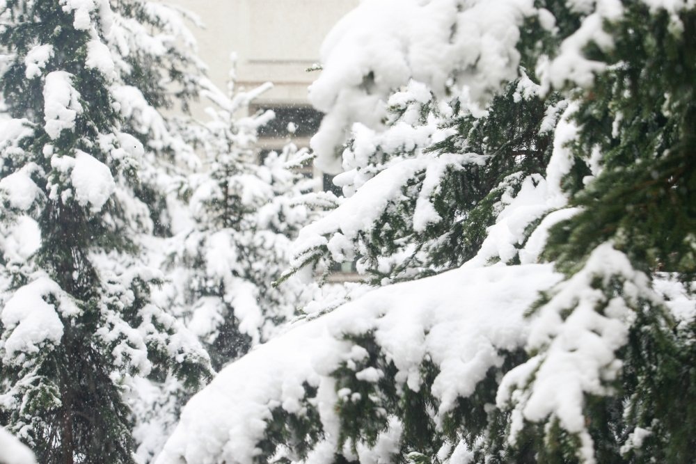 Ирэх долоо хоногт цаг агаар ямар байх вэ?