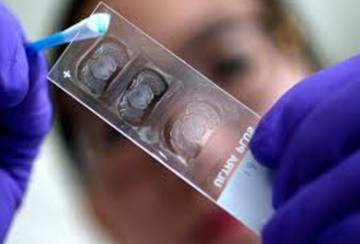 Япон дахь Монгол иргэдийг коронавирусын халдвараас сэрэмжлүүллээ