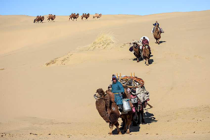 Элсээ давсан нүүдэл энх хаврыг тээж ирнэ