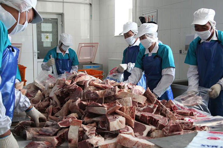 Нөөцийн мах борлуулах 279 цэгийн байршил